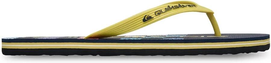 Quiksilver Molokai Stripe 26 Slippers Geel Man