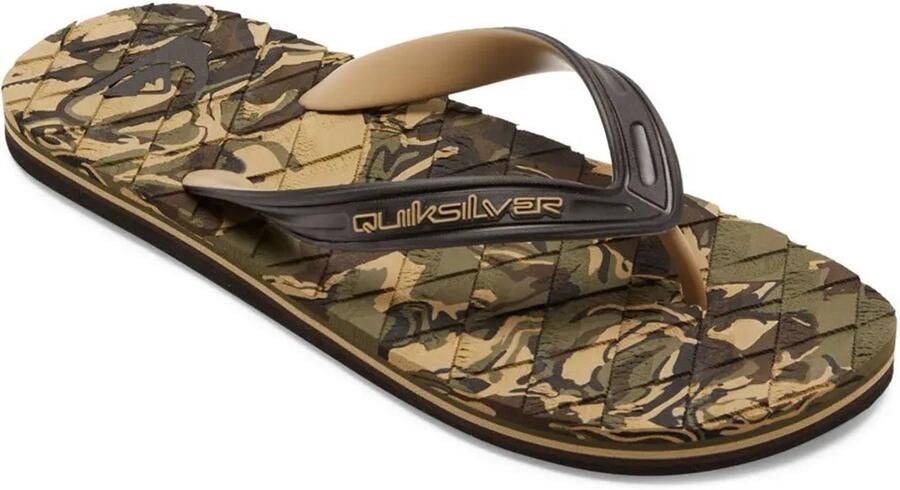 Quiksilver Oahuey Sandalen Groen Man