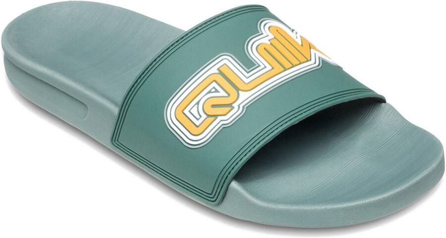 Quiksilver Rivi Wordmark Ii Slippers Groen Man