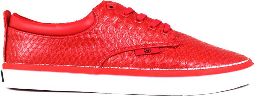 Radii Jax Blood Python Blood Python