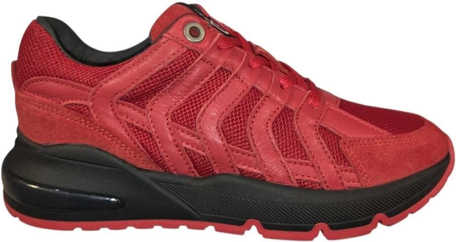 Red-Rag 14029