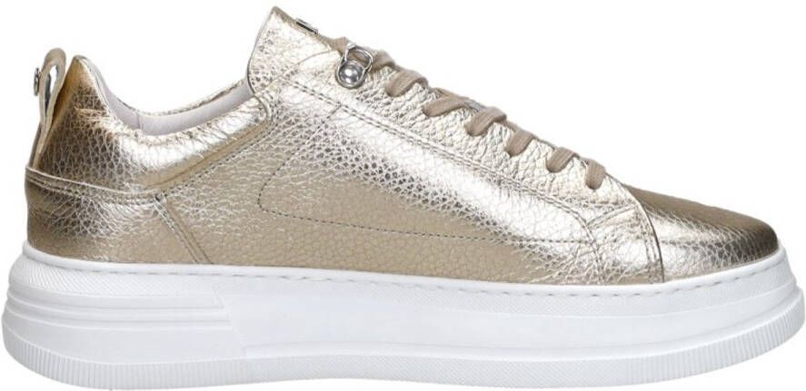 Red Rag Sneakers Laag Sneakers Laag Goudkleur