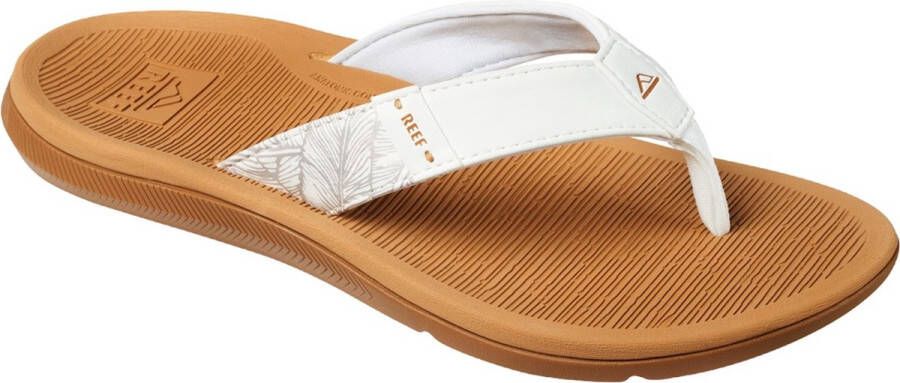 Reef Santa Anna slippers Cloud Schoenen Slippers Slippers