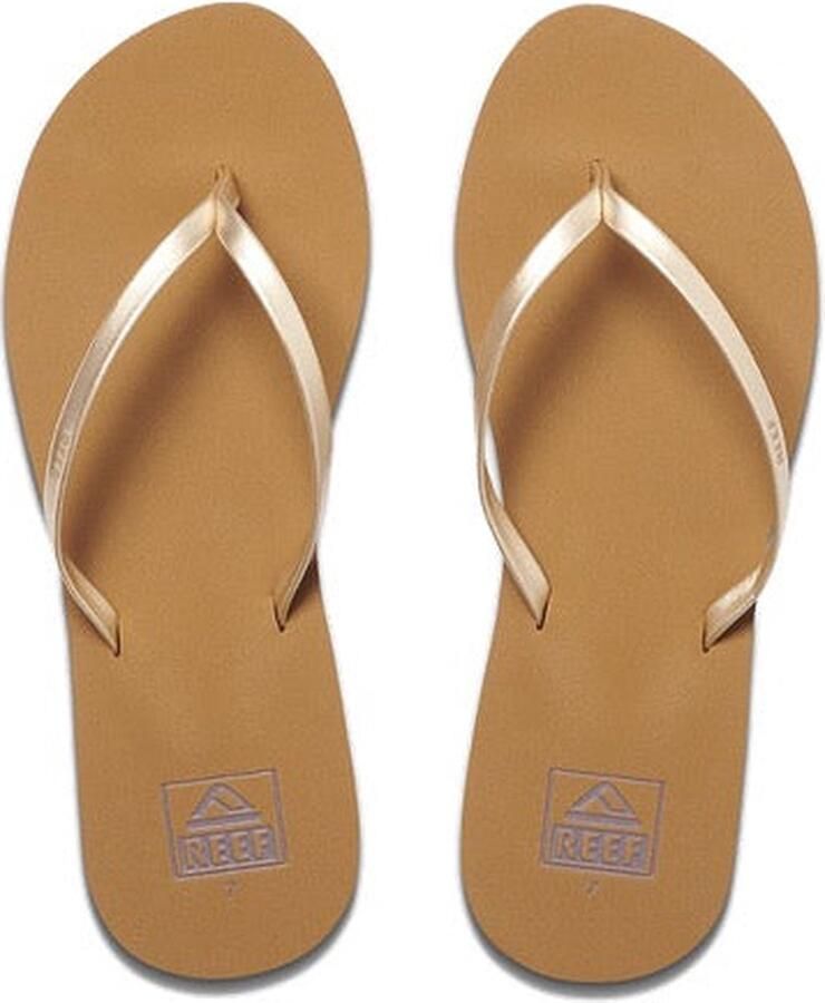 Reef BLISS NIGHTS Tan Champagne