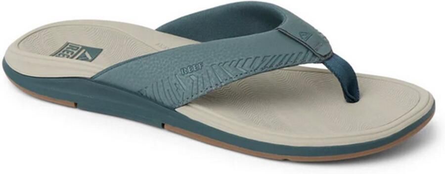 Reef OFFSHORE Seamoss