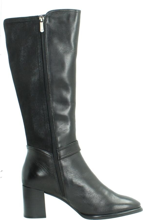 Regarde Le Ciel HILARY-04 Laars