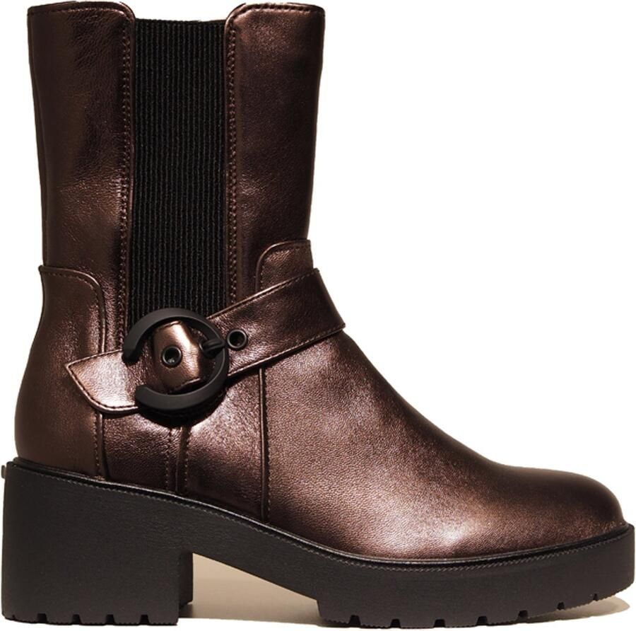 Regarde Le Ciel Regarde le Paloma 03l Bruin