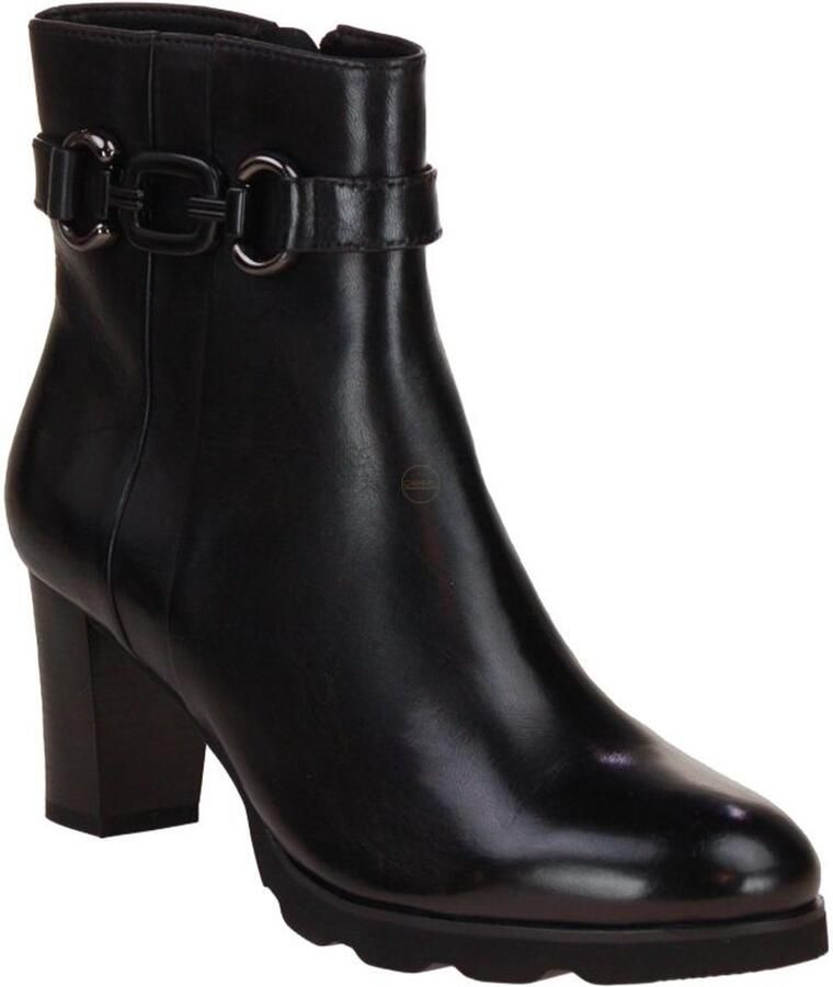 Regarde Le Ciel Patricia Korte Laars Zwart