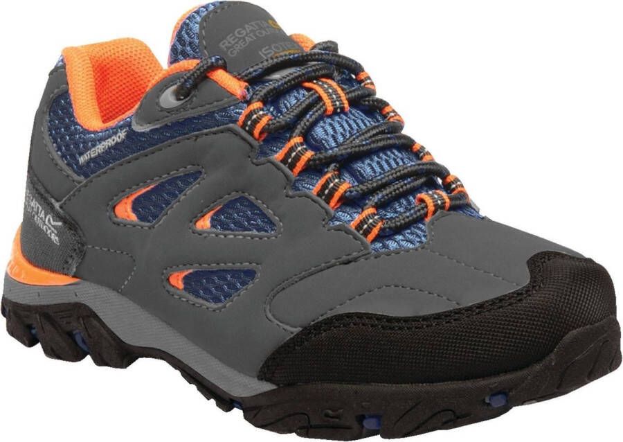 Regatta Holcombe IEP Low Outdoorschoenen Junior Wandelschoenen Mannen Grijs