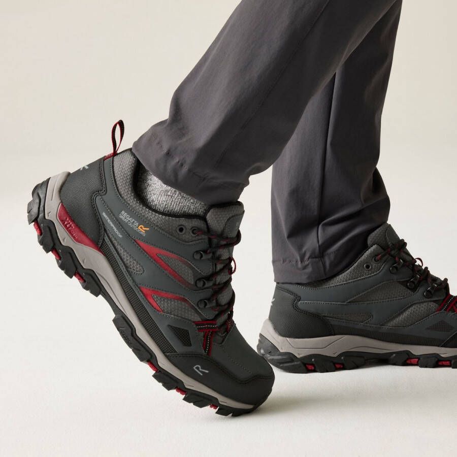 Regatta Holcombe Iii Low Wandelschoenen Grijs Man