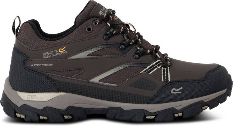 Regatta Holcombe Iii Low Wandelschoenen Grijs Man