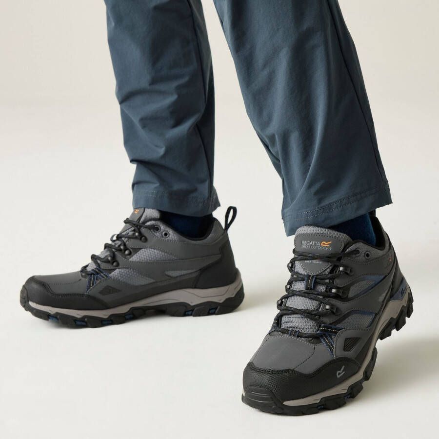 Regatta Holcombe Iii Low Wandelschoenen Grijs Man