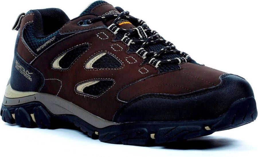 Regatta Schoenen Heren Waterdicht Ademend Holcombe Low - Foto 3