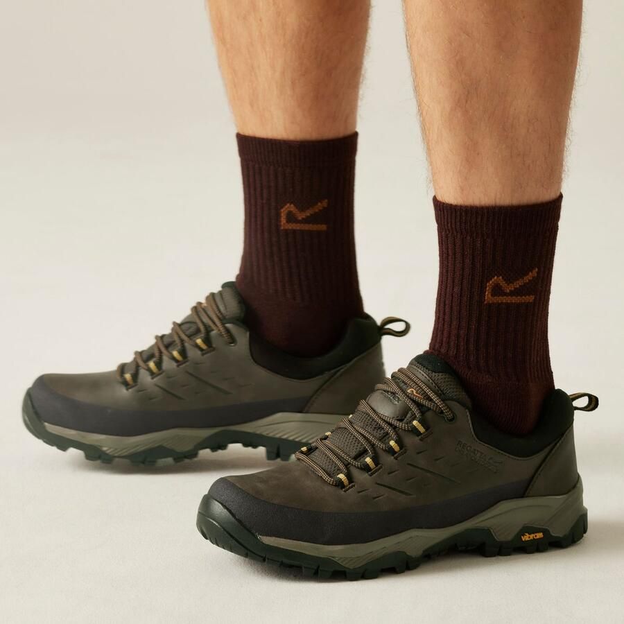 Regatta Blake Low Vibram waterdichte wandelschoenen voor heren