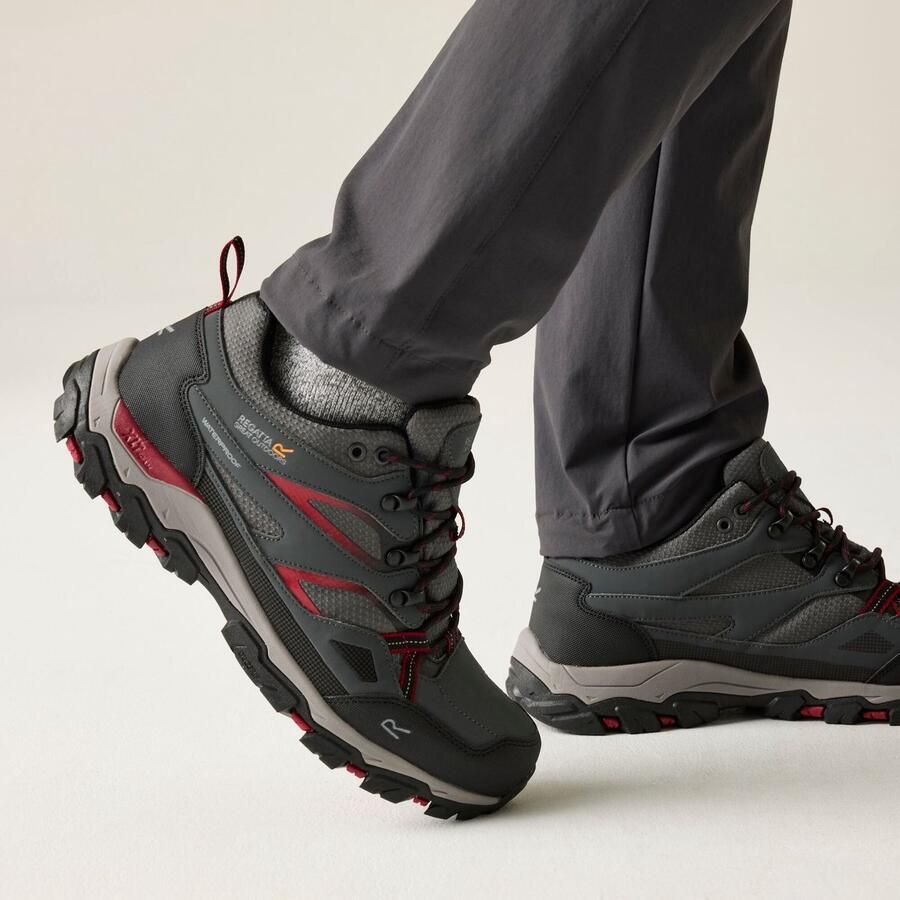 Regatta Holcombe Iii Low Wandelschoenen Grijs Man