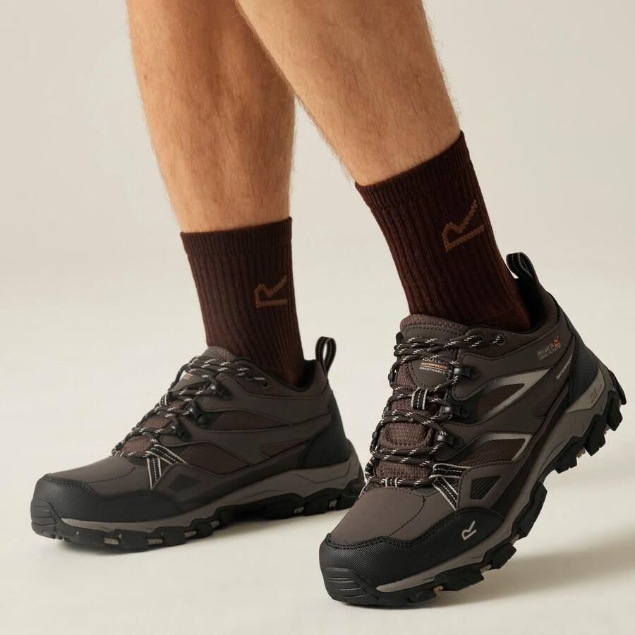 Regatta Laarzen Hiking Heren Holcombe