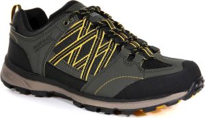 Regatta -Samaris Low II Wandelschoenen Mannen Beige
