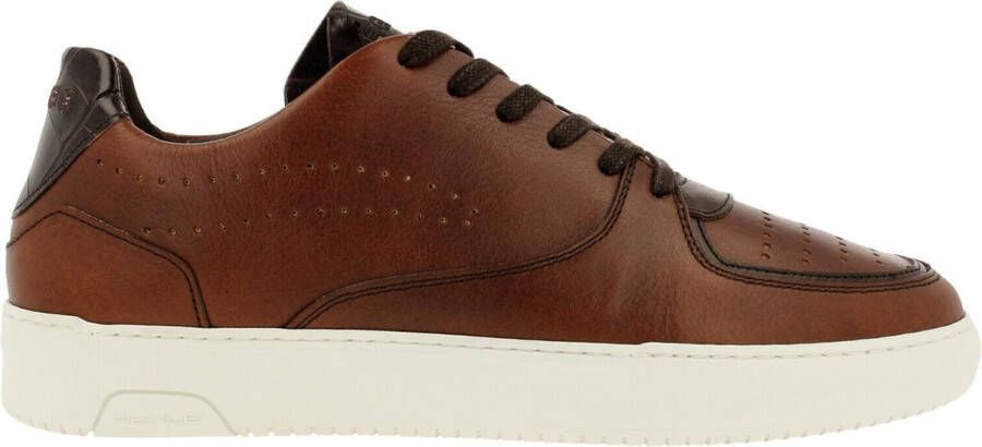 Rehab Thabo Class Sneaker Men Brown