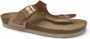 Rohde 5600 33 Dames Slippers Roze Goud - Thumbnail 1