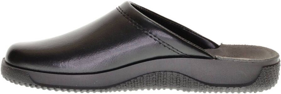 Rohde Zwarte Instapper