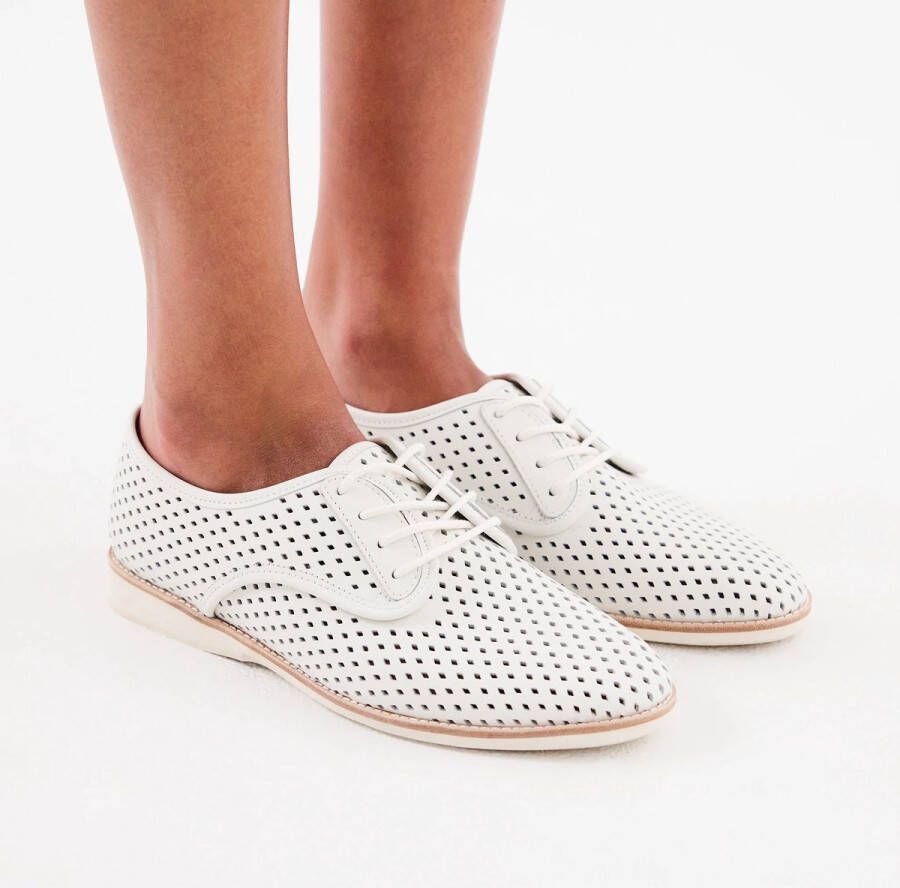 Rollie | Dames | Veterschoen | Derby Punch White