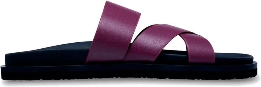 Roxy Zaho Sandalen Paars Vrouw