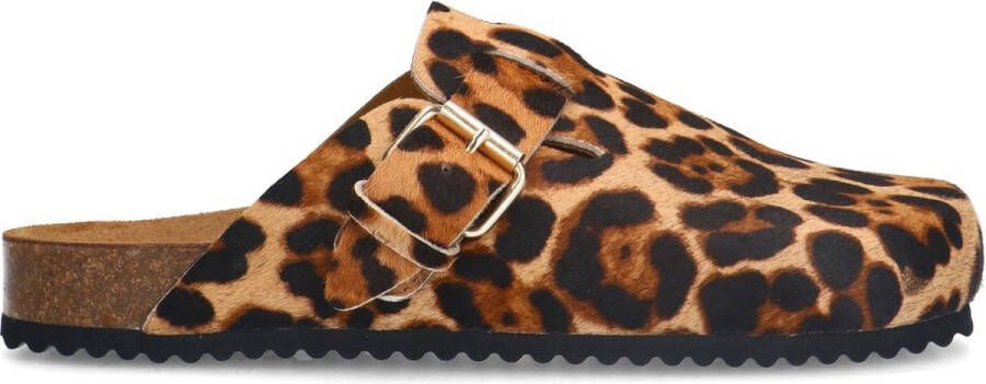 Sacha Dames Leopard clogs met gesp
