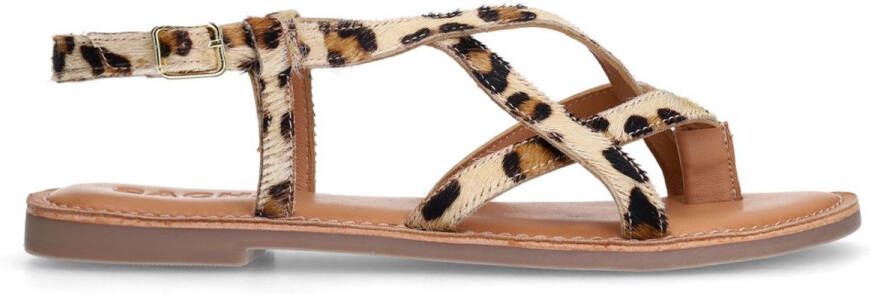 Sacha Dames Leopard sandalen met gekruiste bandjes
