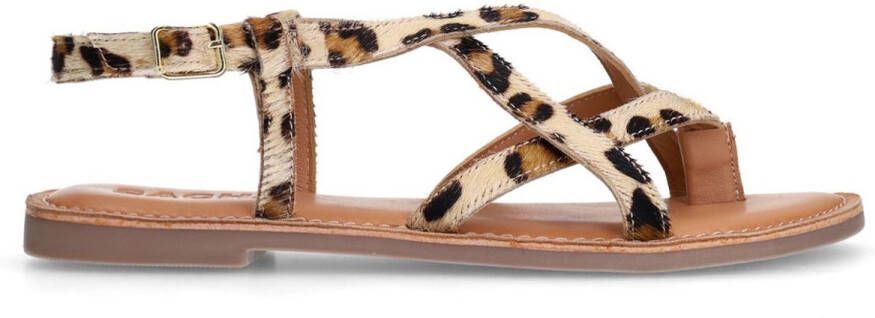 Sacha Dames Leopard sandalen met gekruiste bandjes