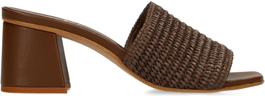 Sacha Dames Bruine muiltjes met blokhak