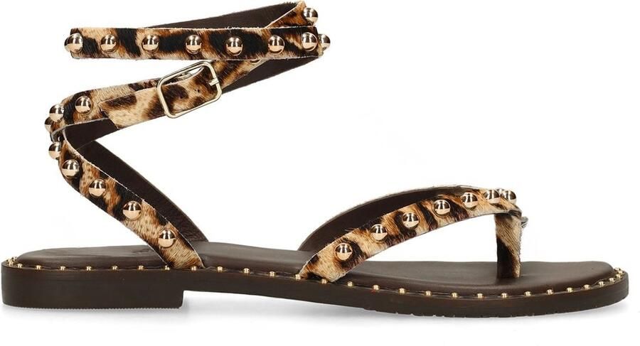 Sacha Dames Leopard sandalen met goudkleurige studs