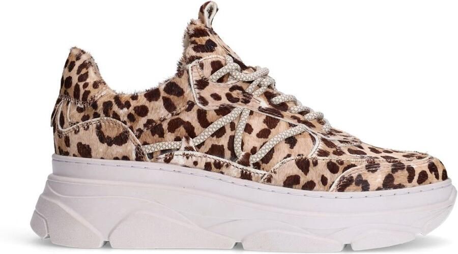 Sacha Dames Leopard sneakers