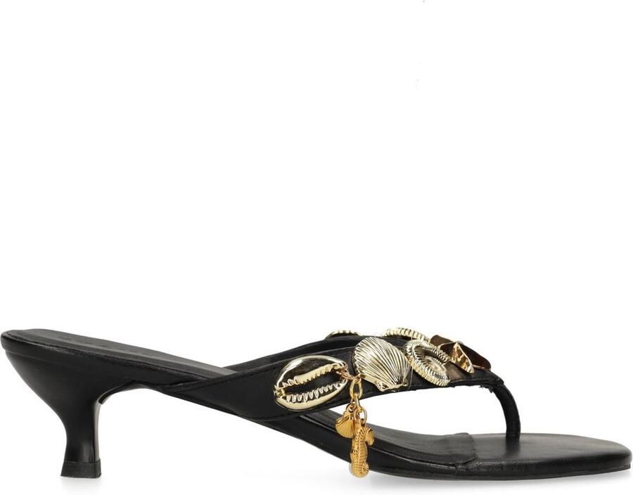 Sacha Dames Zwarte leren muiltjes met hak