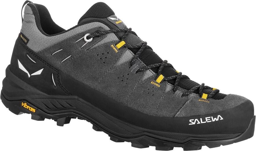 Salewa ALP TRAINER 2 GTX SCHOENEN 00-0000061400_0876 r