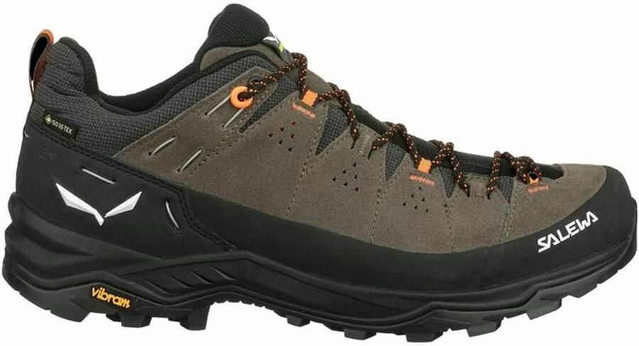 Salewa Wandelschoenen Alp Trainer 2 Gore-Tex Men's Shoe 61400-7953