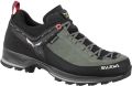 Salewa Women's Mountain Trainer 2 GTX Multisportschoenen zwart - Groen