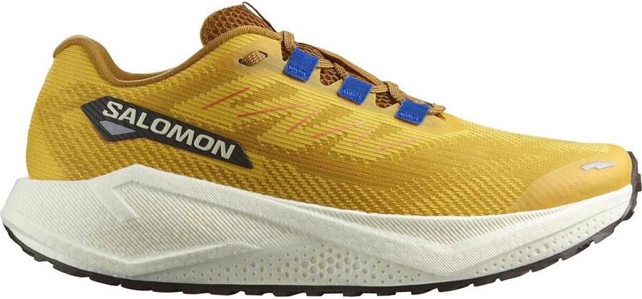 Salomon Aero Blaze 3 Grvl Hardloopschoenen 1 3 beige