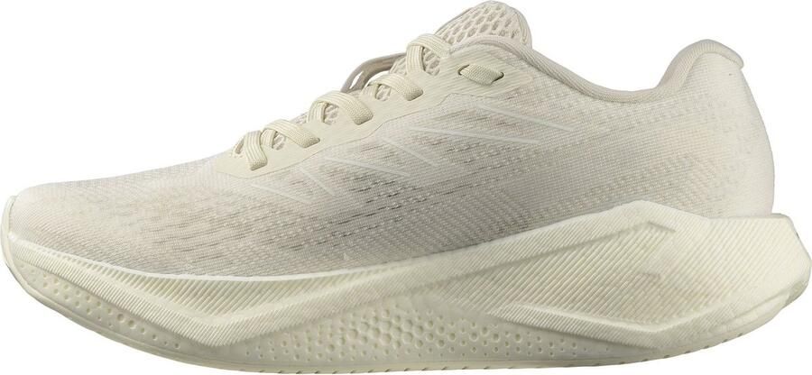 Salomon aero blaze 3 w Trail hardloopschoenen dames Meerkleurig