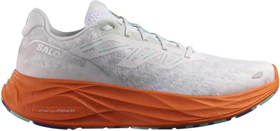 Salomon Aero Glide 2 Hardloopschoenen Heren D
