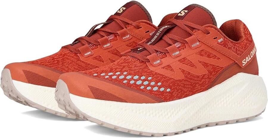 Salomon AERO GLIDE 3 GRVL W Hardloopschoenen Burnt Ochre Vanilla Ice Etherea