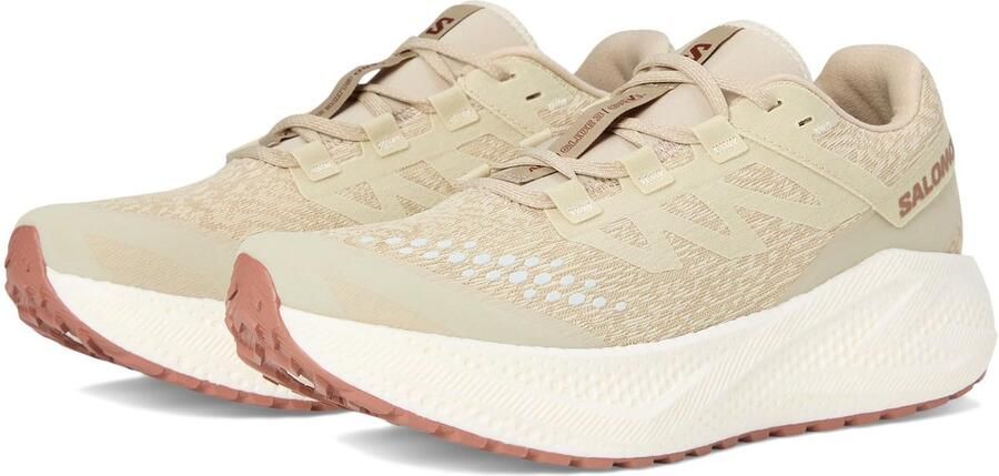 Salomon Aero Glide 3 GRVL Hardloopschoenen 2 3 beige