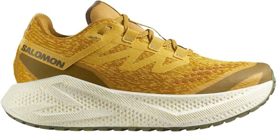 Salomon Aero Glide 3 GRVL Hardloopschoenen 2 3 beige