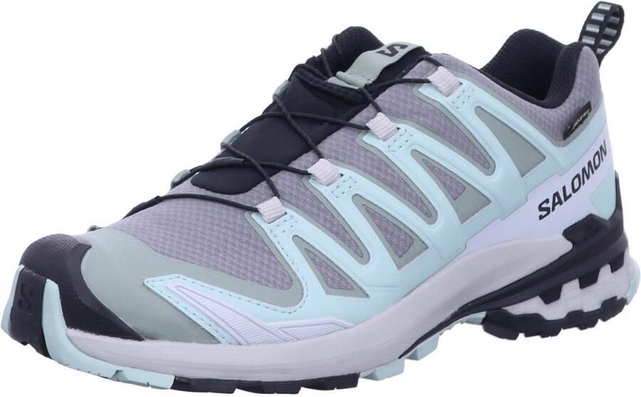 Salomon XA PRO 3D V9 GTX W GORE-TEX Dames Wandelschoenen Trail-Running Schoenen