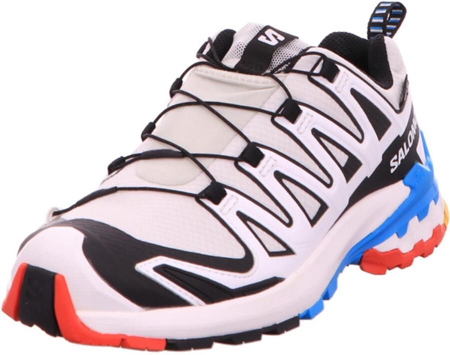 Salomon Women's XA Pro 3D V9 GTX Multisportschoenen grijs