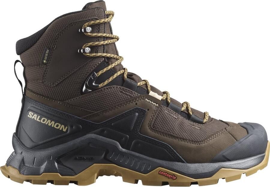 Salomon Quest Element Goretex Wandelschoenen Bruin Man