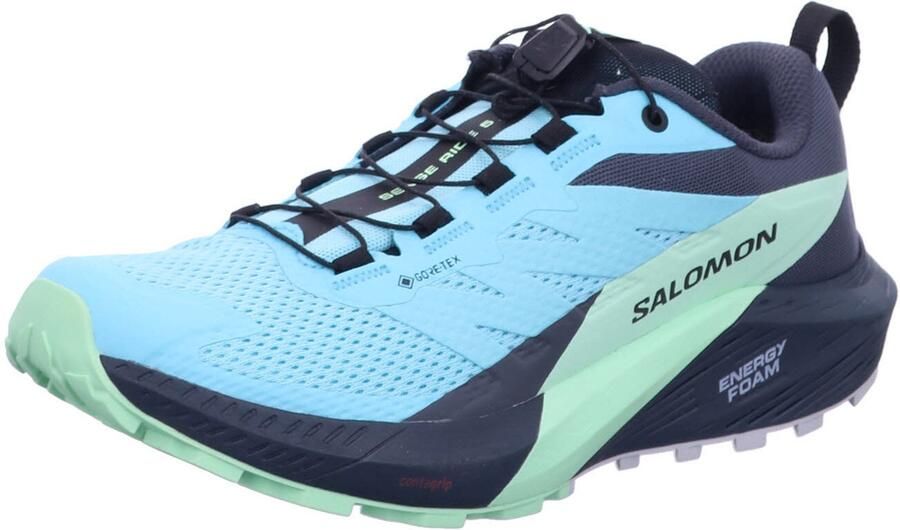 Salomon Trailrunningschoenen SENSE RIDE 5 GORE-TEX W waterdicht