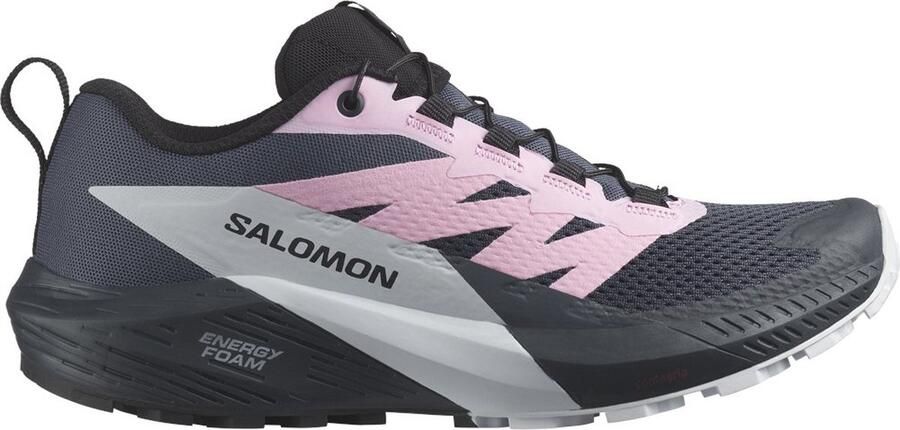 Salomon Sense Ride 5 Trailrunningschoenen Blauw Vrouw