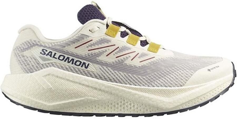 Salomon Aero Blaze 3 Grvl GTX Hardloopschoenen 1 3 grijs