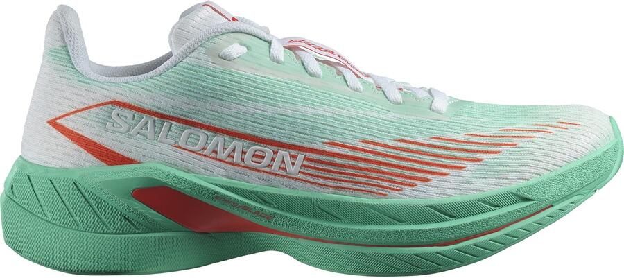 Salomon Spectur 2 Hardloopschoenen Heren