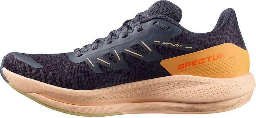 Salomon Spectur Hardloopschoenen Blauw 2 3 Vrouw